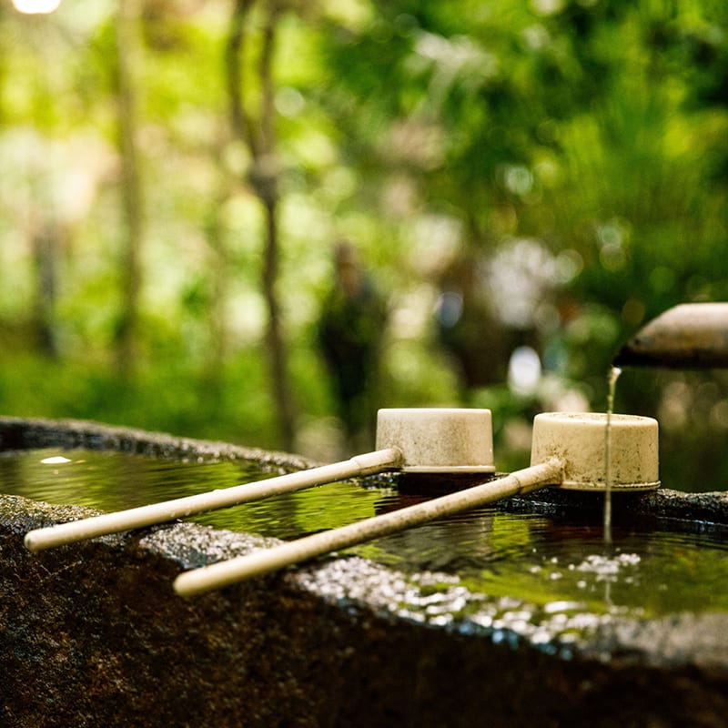 京都の寺社の風景